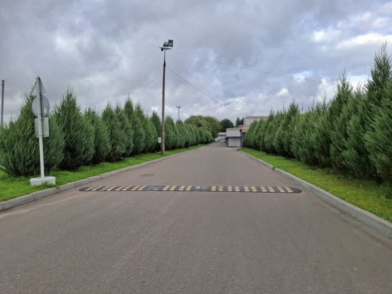 Трасса лыжероллерная Крылатское гребной канал, состояние на 15 августа 2025 по отзыву, фото 6. 